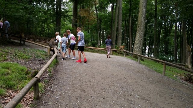20160723_132305
