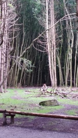 20160723_133656