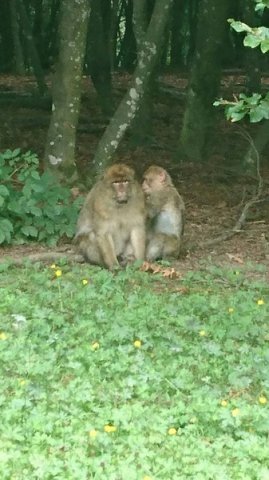 img-20160723-wa0037