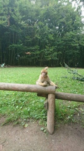img-20160723-wa0039